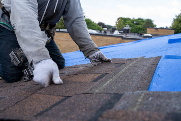 Professional Roofing Contractor in Clintonville, WI
